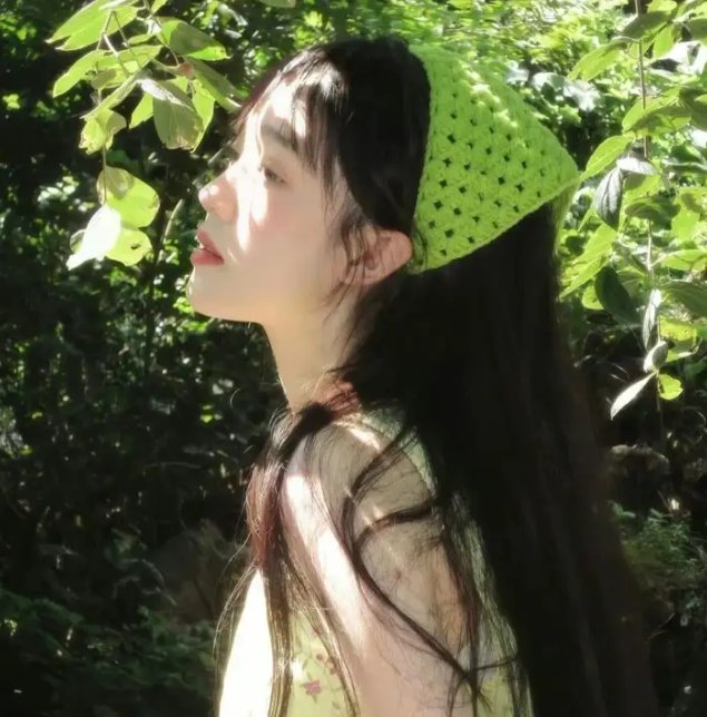 侠岚